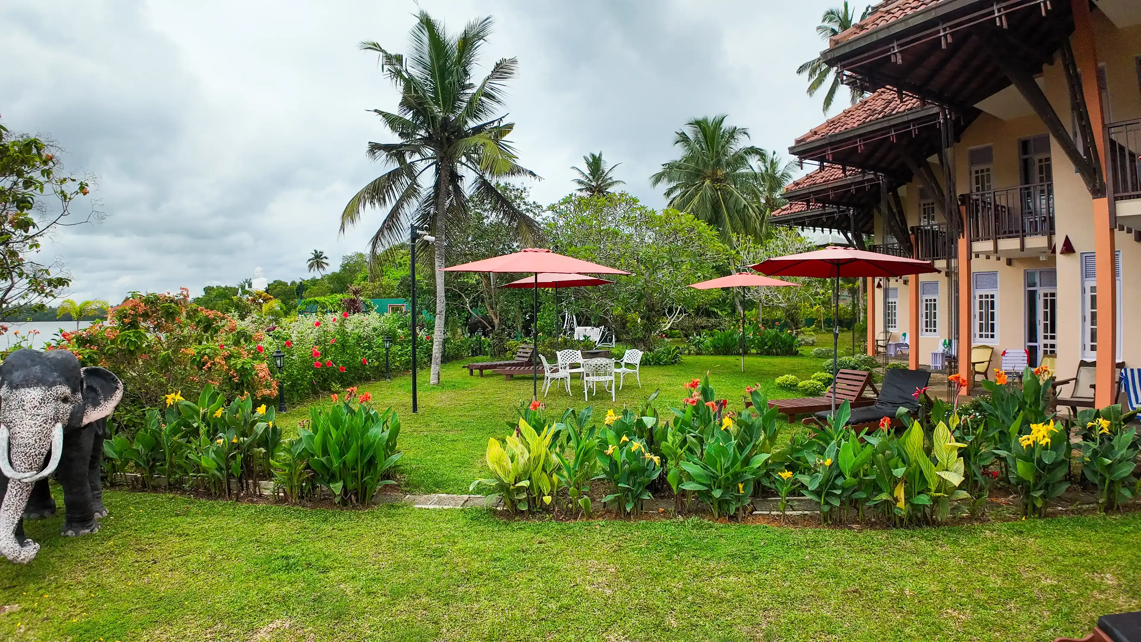 Wildlife photography in natural habitat