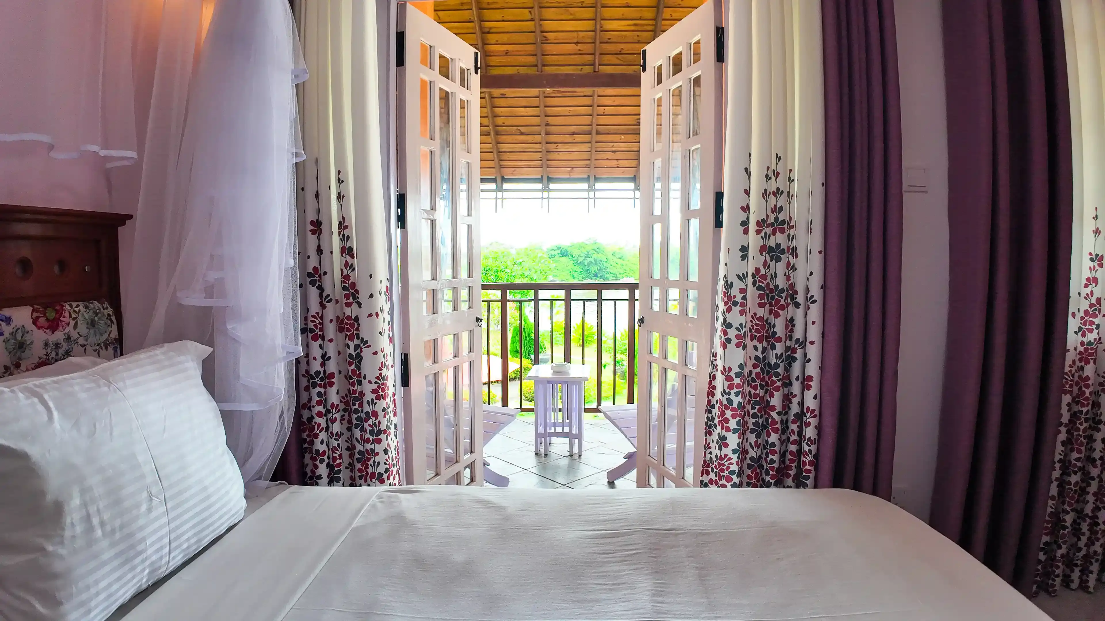 Wildlife photography in natural habitat