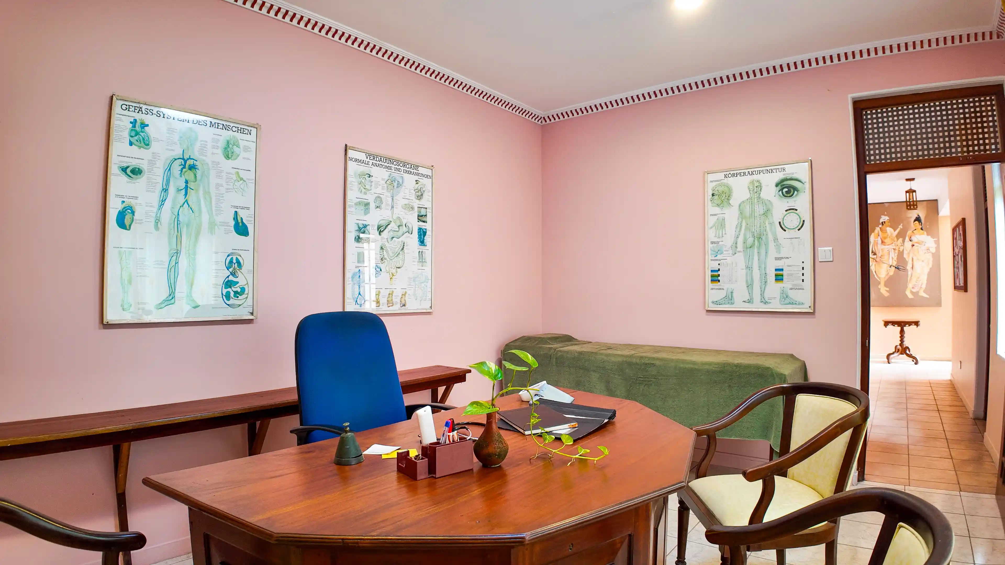 Wildlife photography in natural habitat