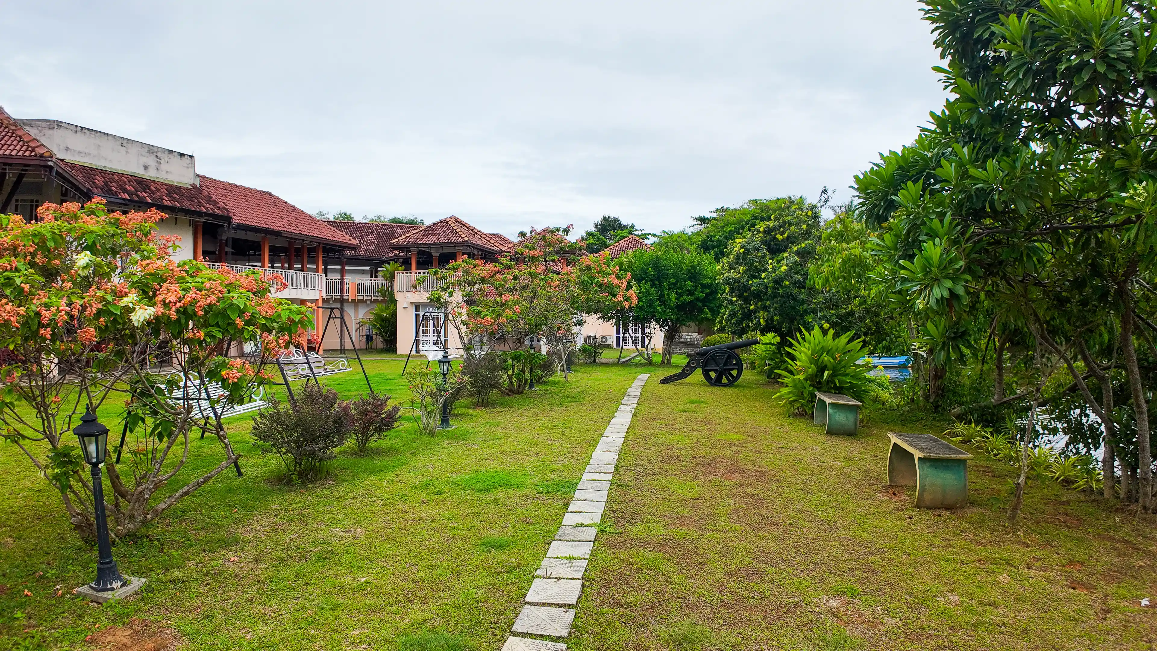 Wildlife photography in natural habitat