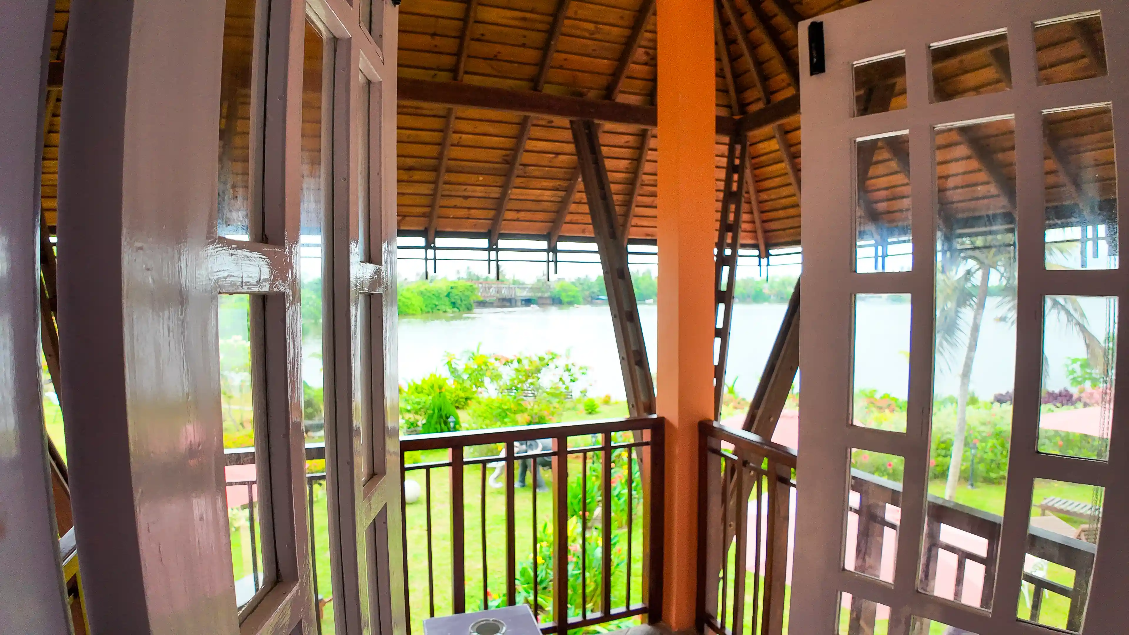 Wildlife photography in natural habitat